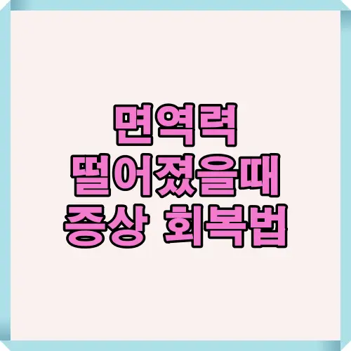 피로감, 감기 잦음 등 면역력 저하 증상과 회복 방법을 한눈에 보여주는 대표 썸네일 이미지. 생활습관 개선과 영양 보충의 중요성을 강조함.