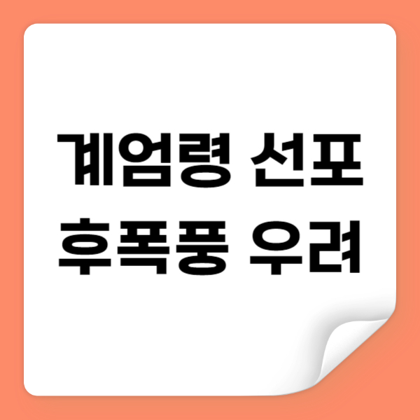 계엄령 선포 후폭풍