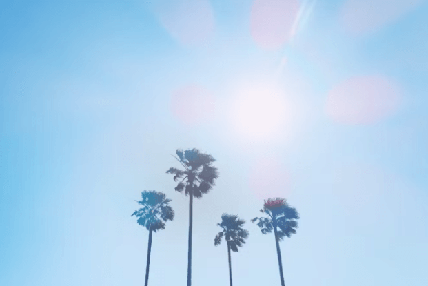 폭염 탈출! 시원한 실내에서 즐기는 운동 추천