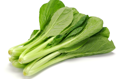 소송채의 영양과 효과 효능·조리법·보존법