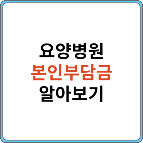 요양병원 본인 부담금