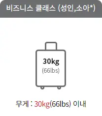 국내선 비즈니스 클래스