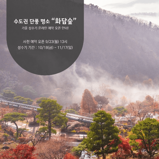 경기도 화담숲 단풍축제-인스타그램 출저