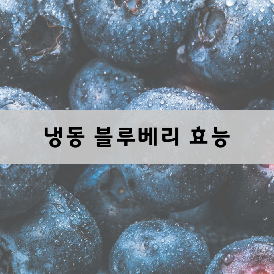 냉동-블루베리-효능