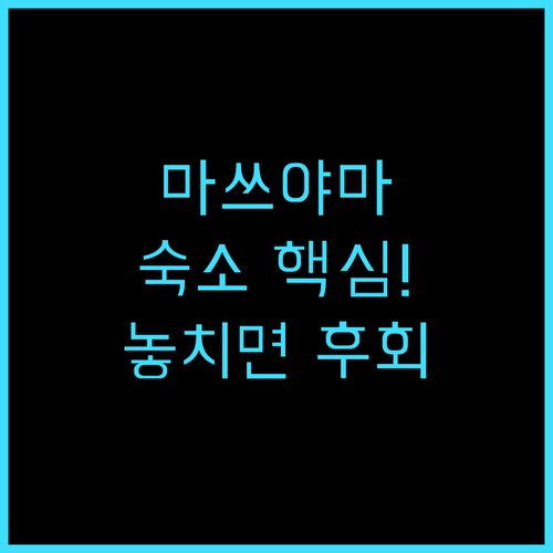 다이와 로이넷 호텔 마쓰야마 마쓰야마..