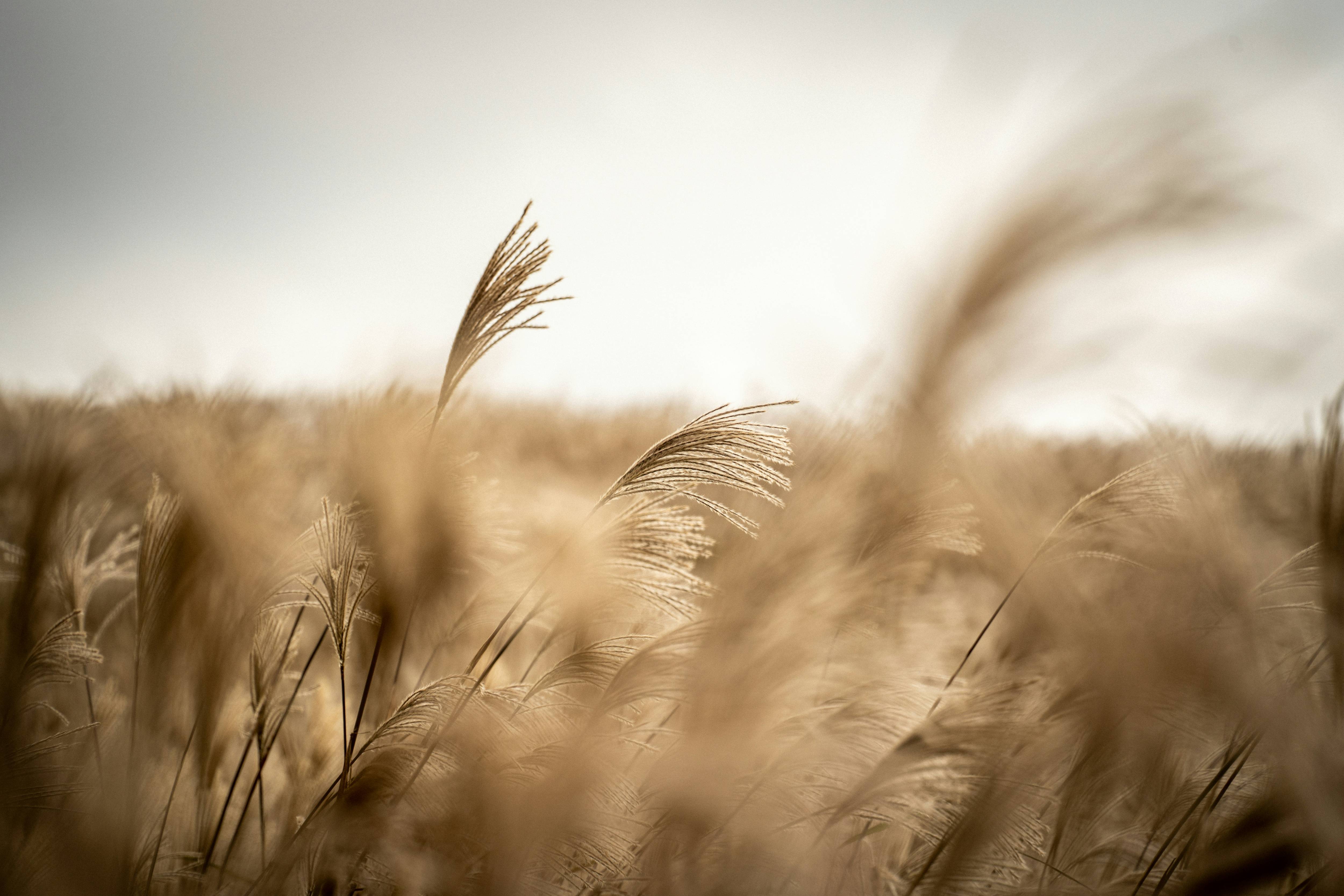 한국의 장소들 이미지