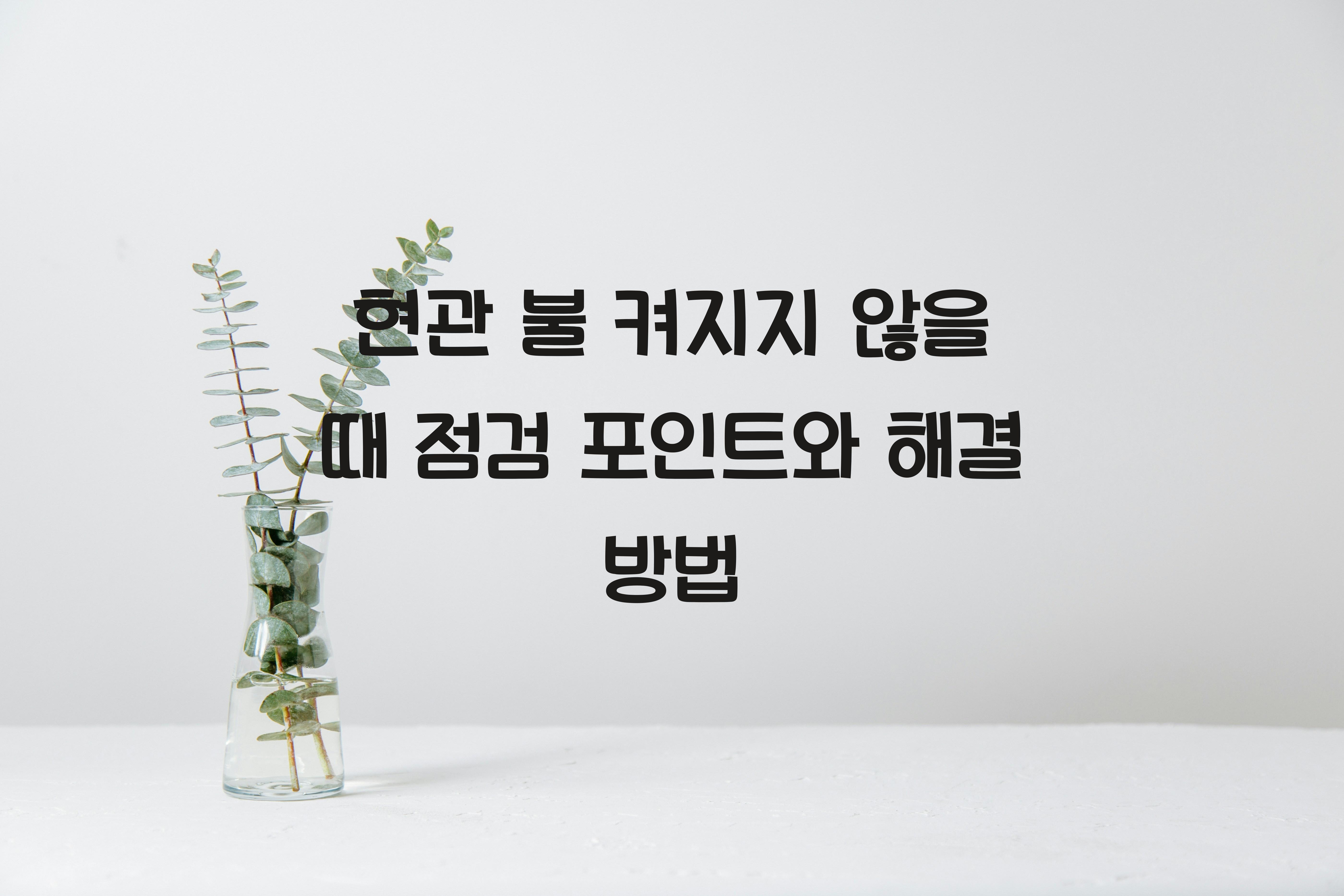 현관 불 켜지지 않을 때 점검 포인트