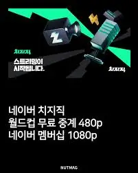 월드컵
