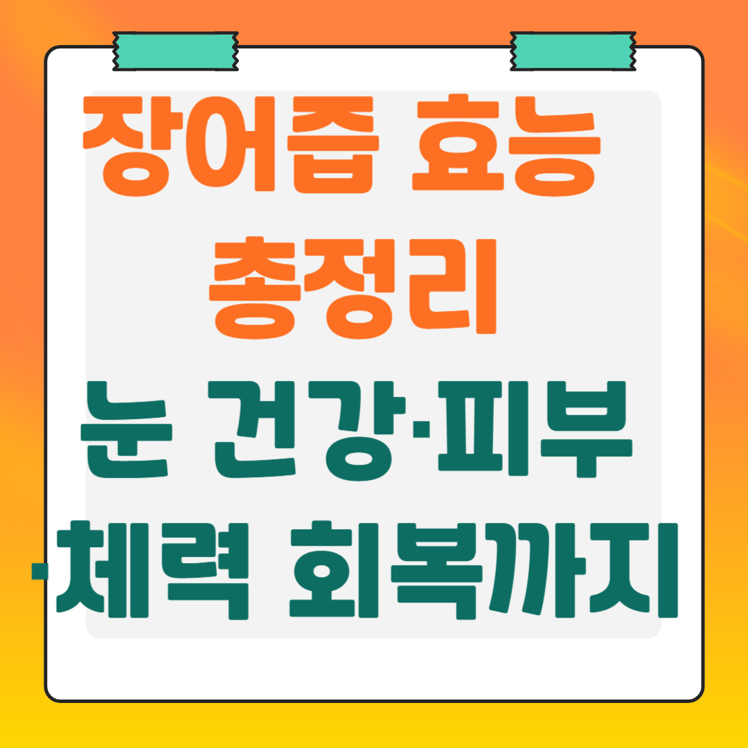 장어즙-효능-총정리