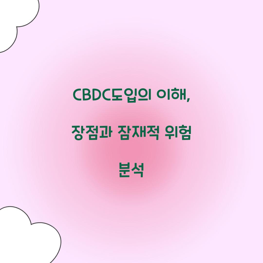 CBDC도입