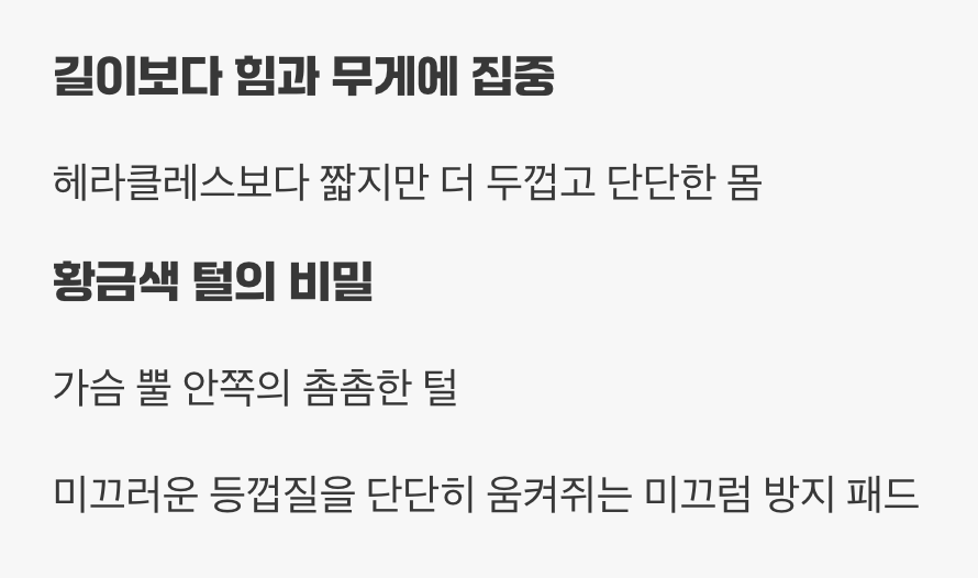 힘을 극대화하는 구조