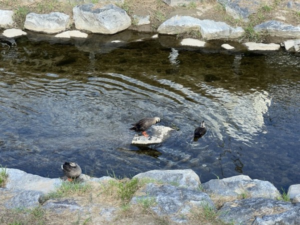 공주 문화유산 야행