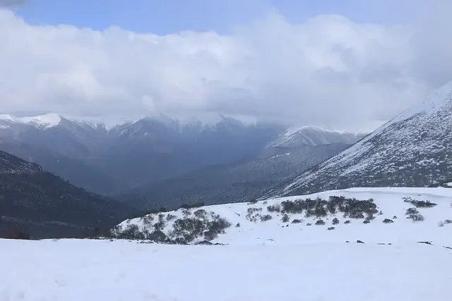 한라산 탐방예약