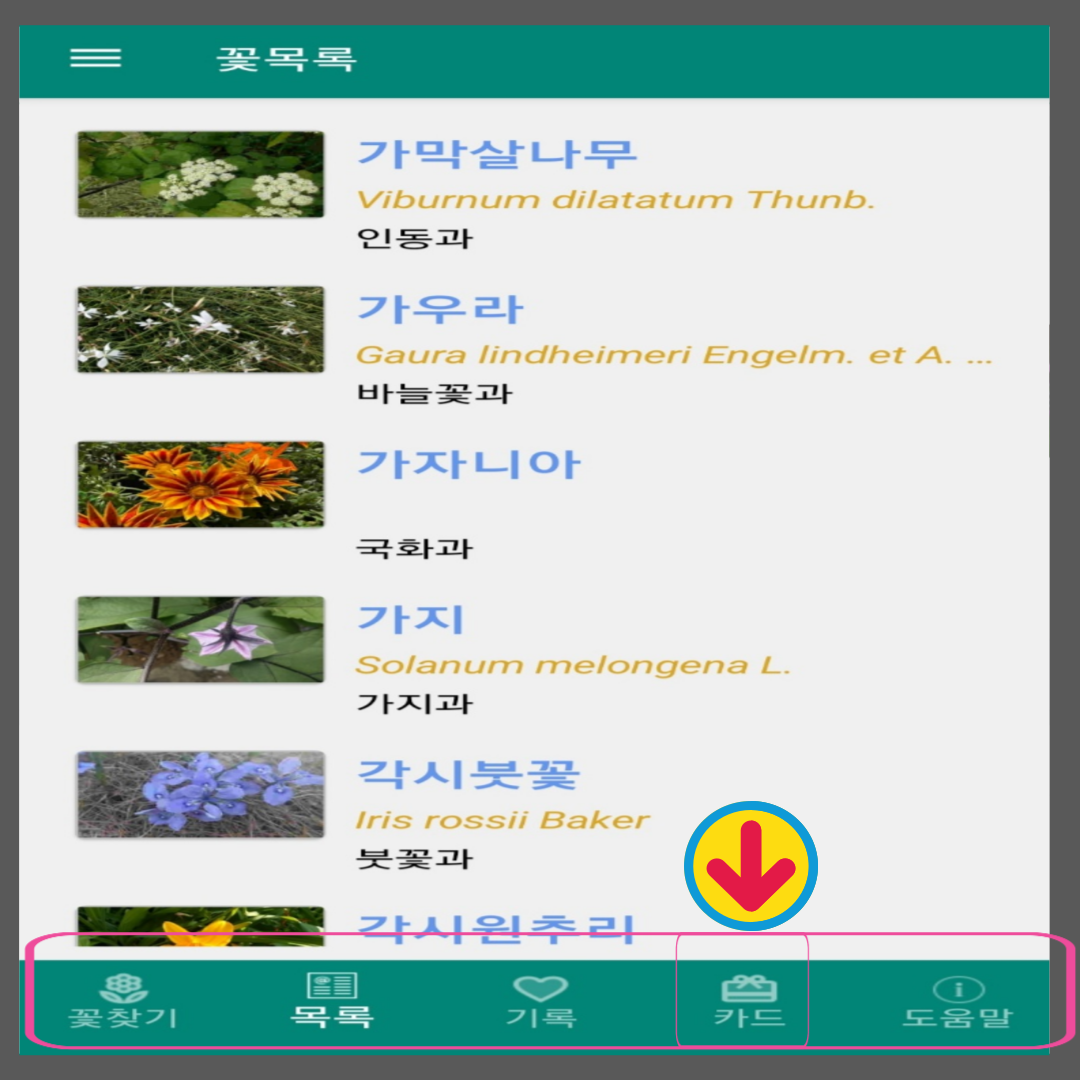 꽃이름 찾기 앱