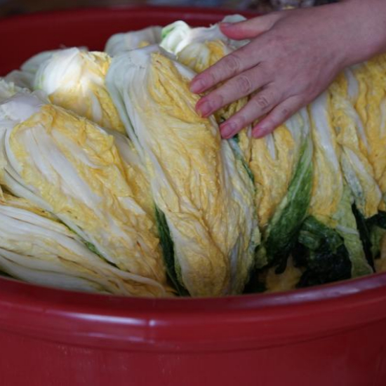 이마트 절임배추 사전예약 활용 팁5