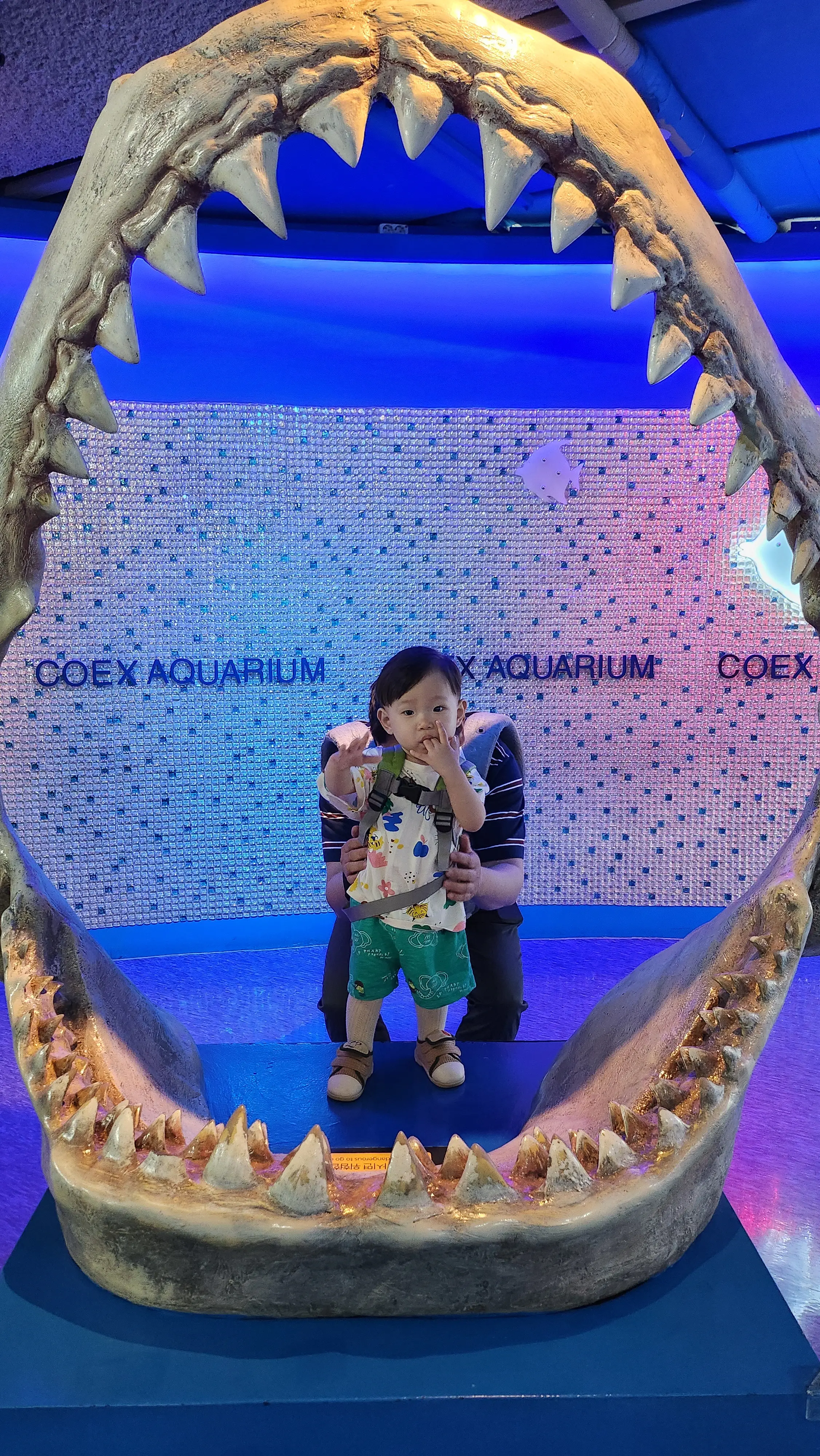 아이랑-가볼만한곳-코엑스-아쿠아리움