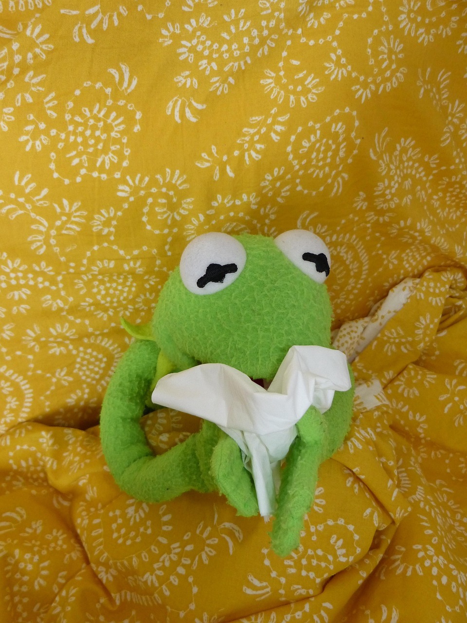 가와사키병 사진