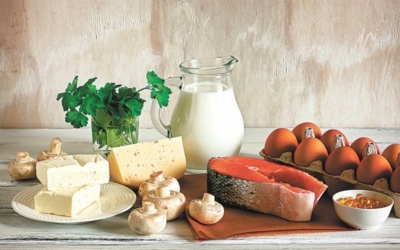 비타민d 이미지