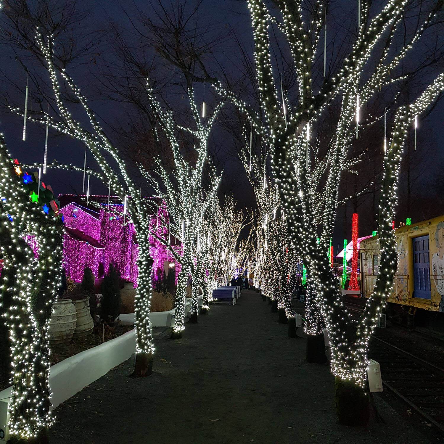 프로방스안 불빛이 아름다워서