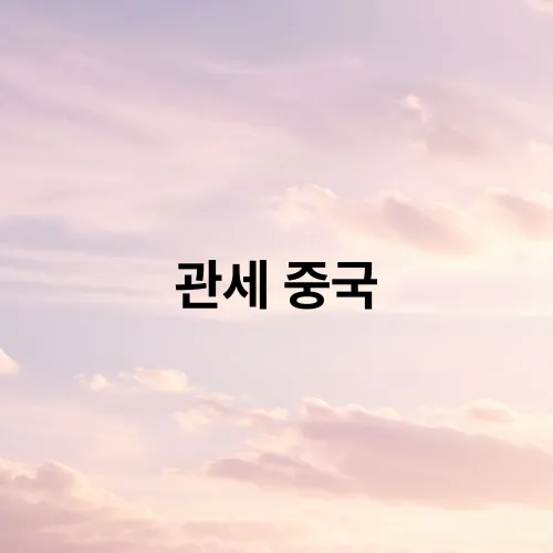 관세 중국