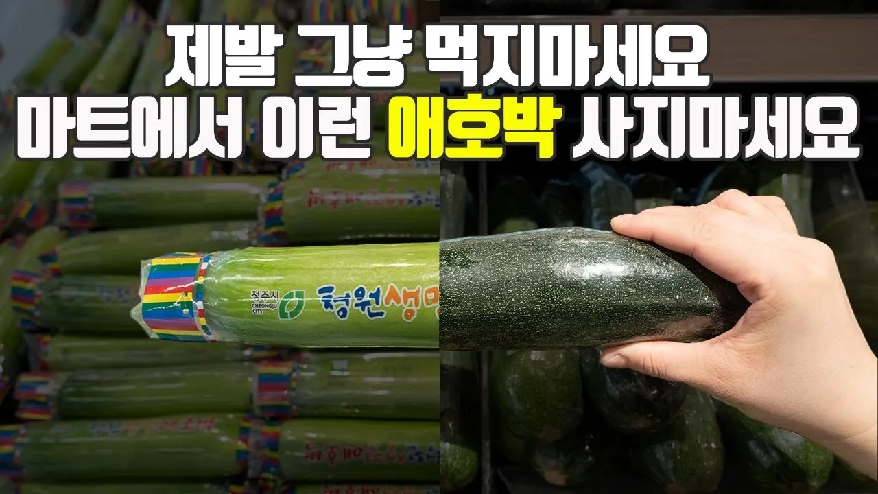애호박 효능_5