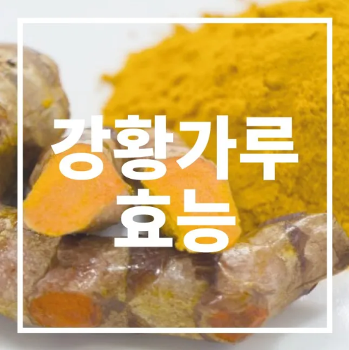 강황가루 효능