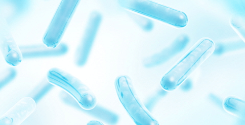 프로바이오틱스