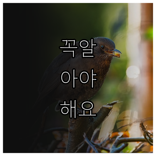 2025 거제시 임산부 혜택 태아 기..