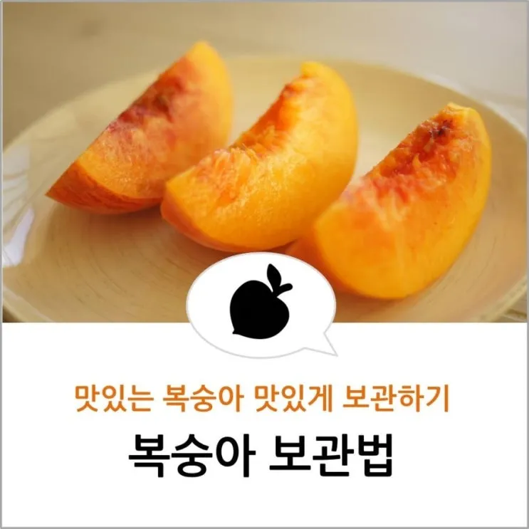 복숭아 보관방법과 싱싱하게 유지하는 팁_2