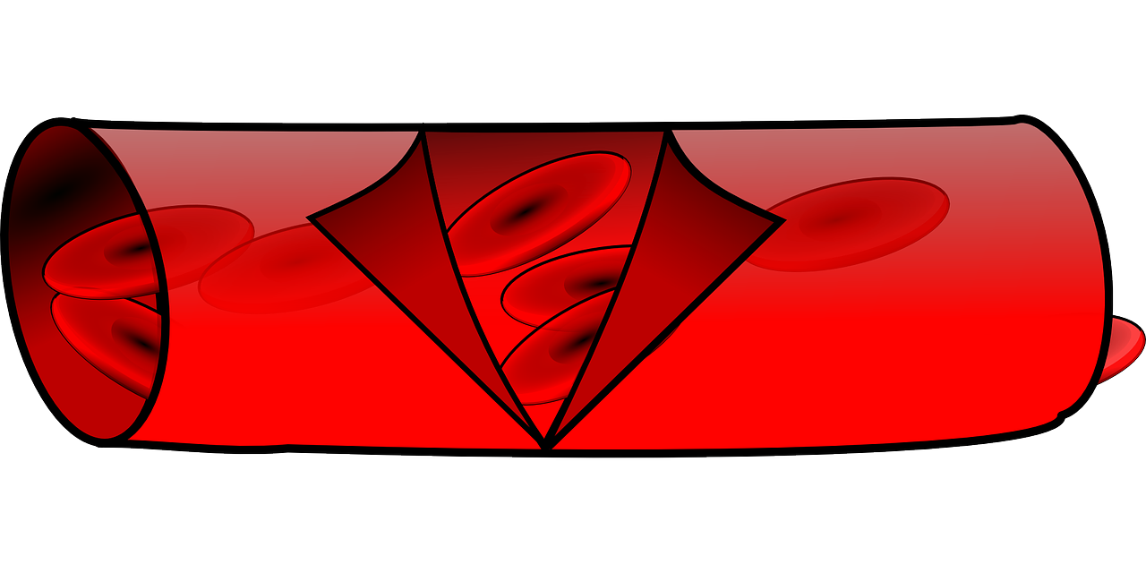 blood