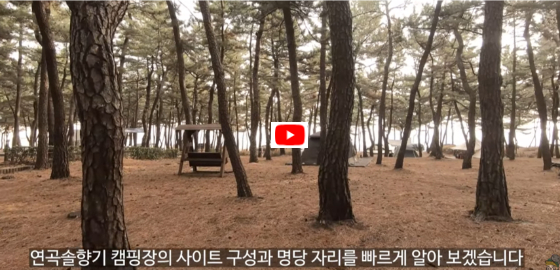 솔향기 캠핑장의 명당 사이트