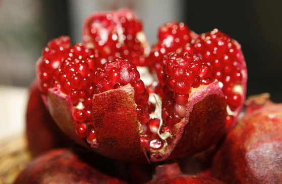 석류 이미지사진