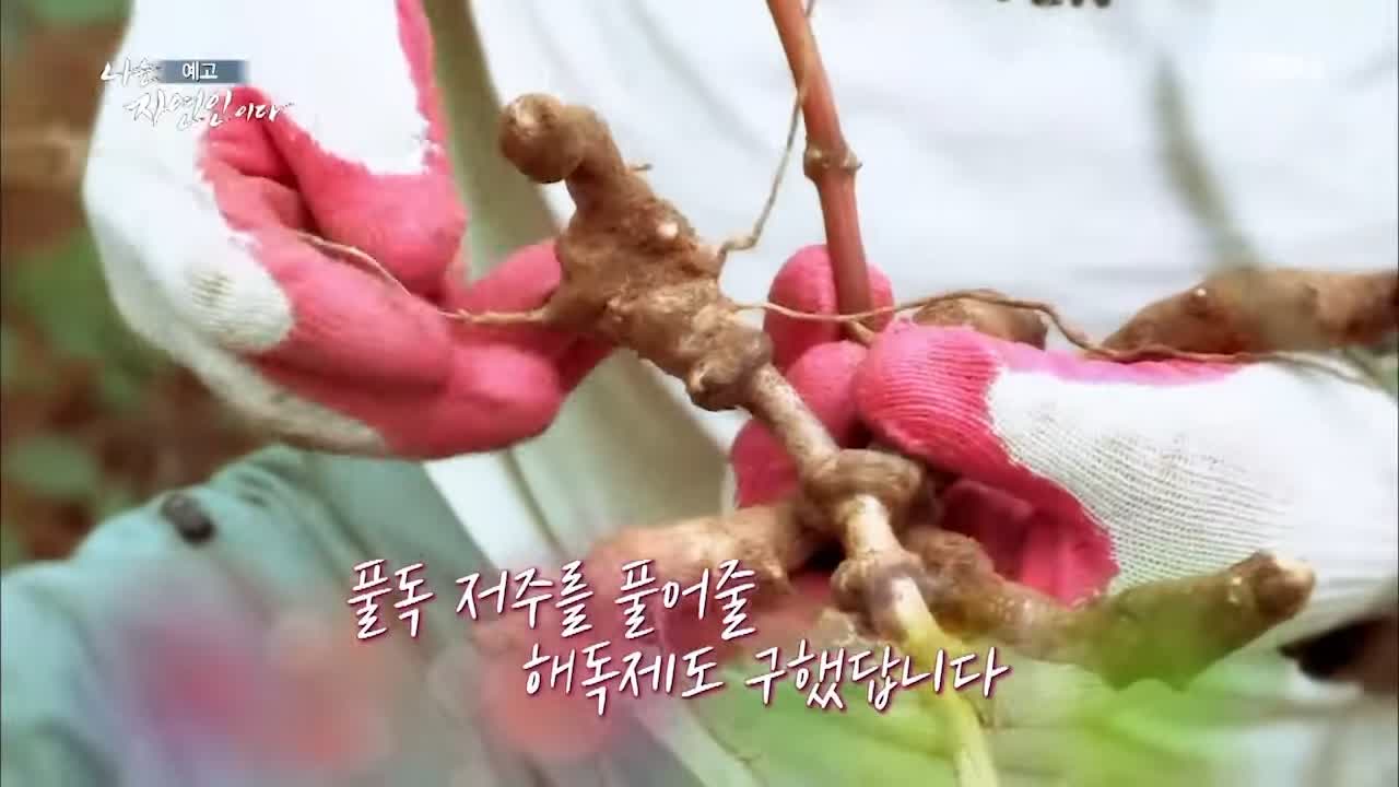 이승윤 윤택 나는 자연인이다 511회 나의 첫 독립일기 자연인 이영숙 소개 및 출연 다시보기