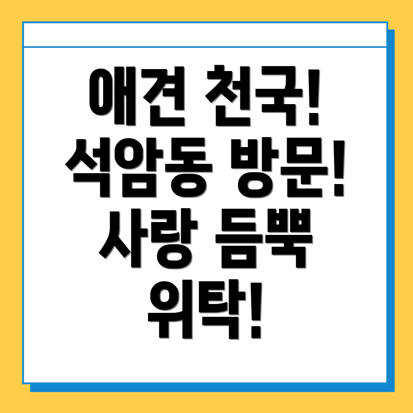 익산시 애견유치원