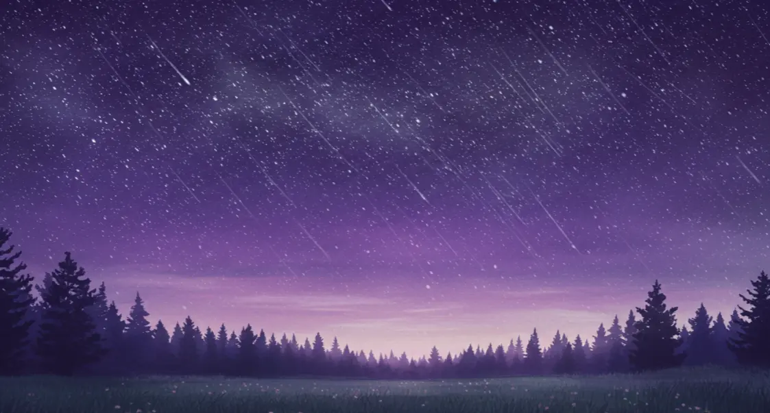 별이 쏟아지는 풍경 꿈