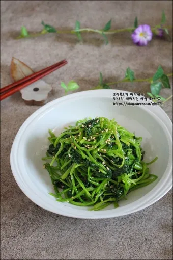 여름나물 종류 10가지 여름 제철 나물 반찬_15