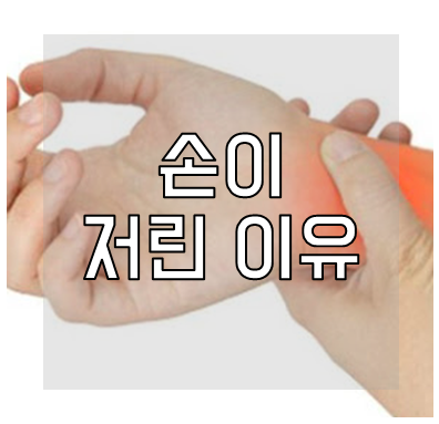 손이 저린이유
