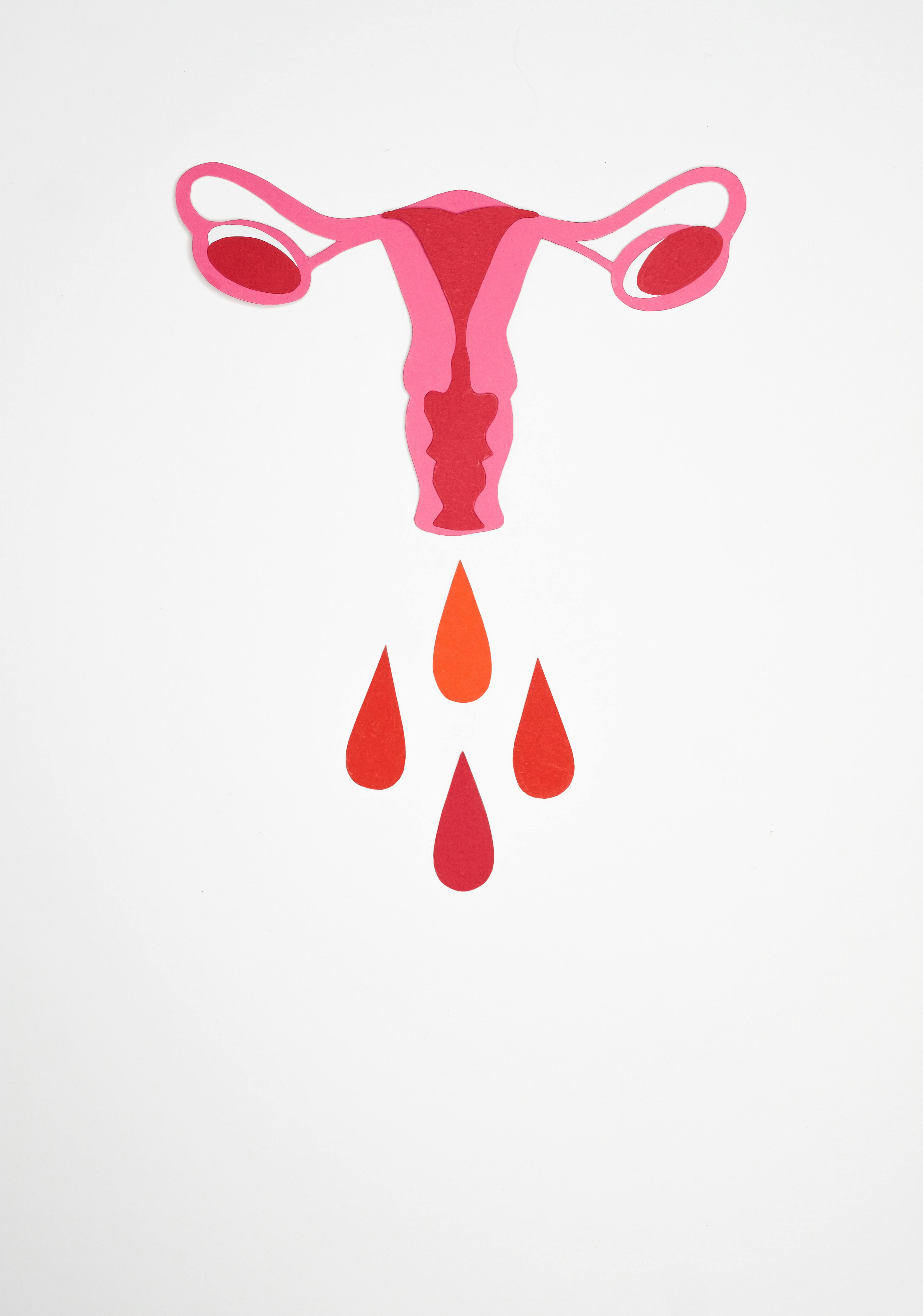 자궁경부암 예방접종 무료대상 및 가격 접종병원 찾기 총정리