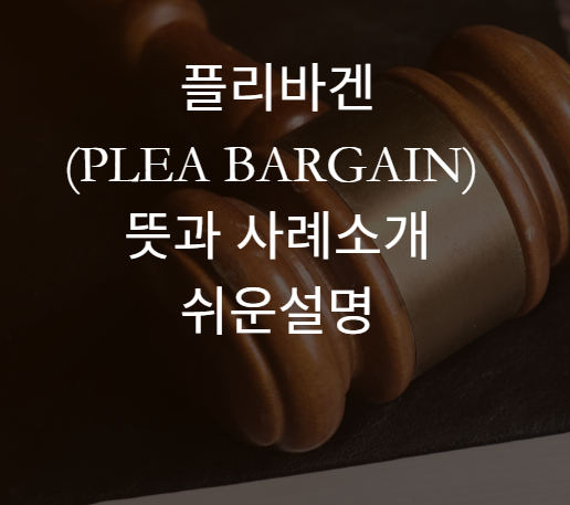 플리바겐 뜻