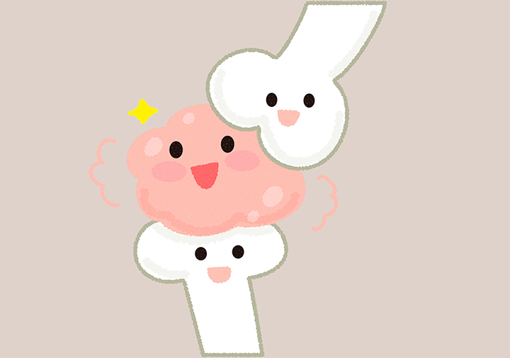연골-재생