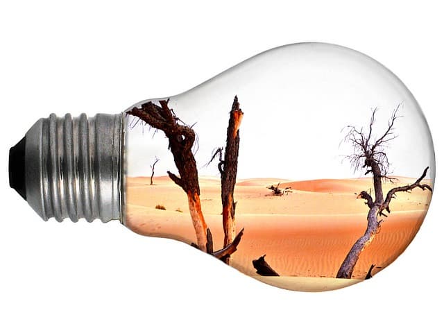 기후 변화 시대, 공예가 나아갈 방향은?