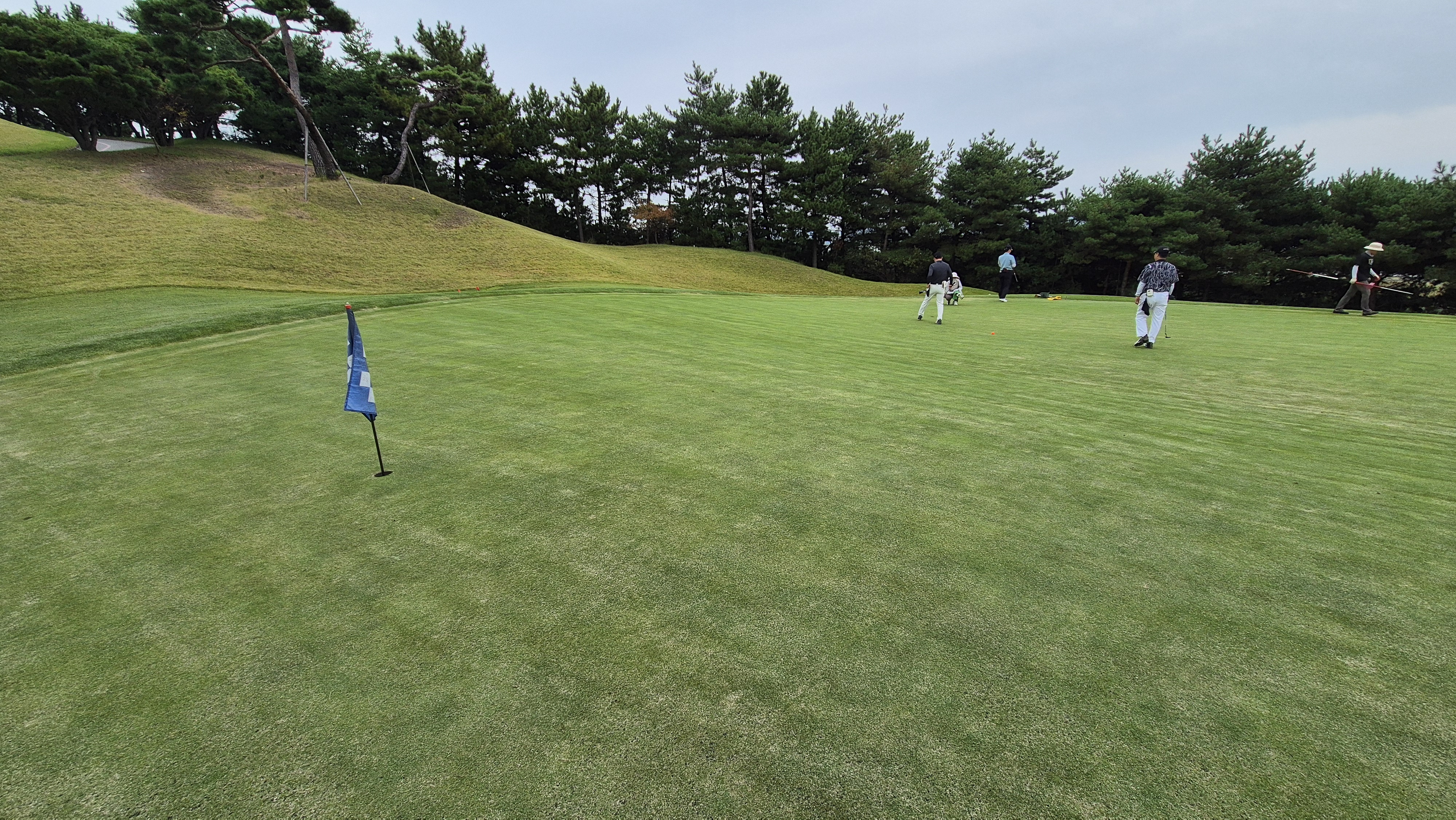 서산수cc 그린 관리 상태