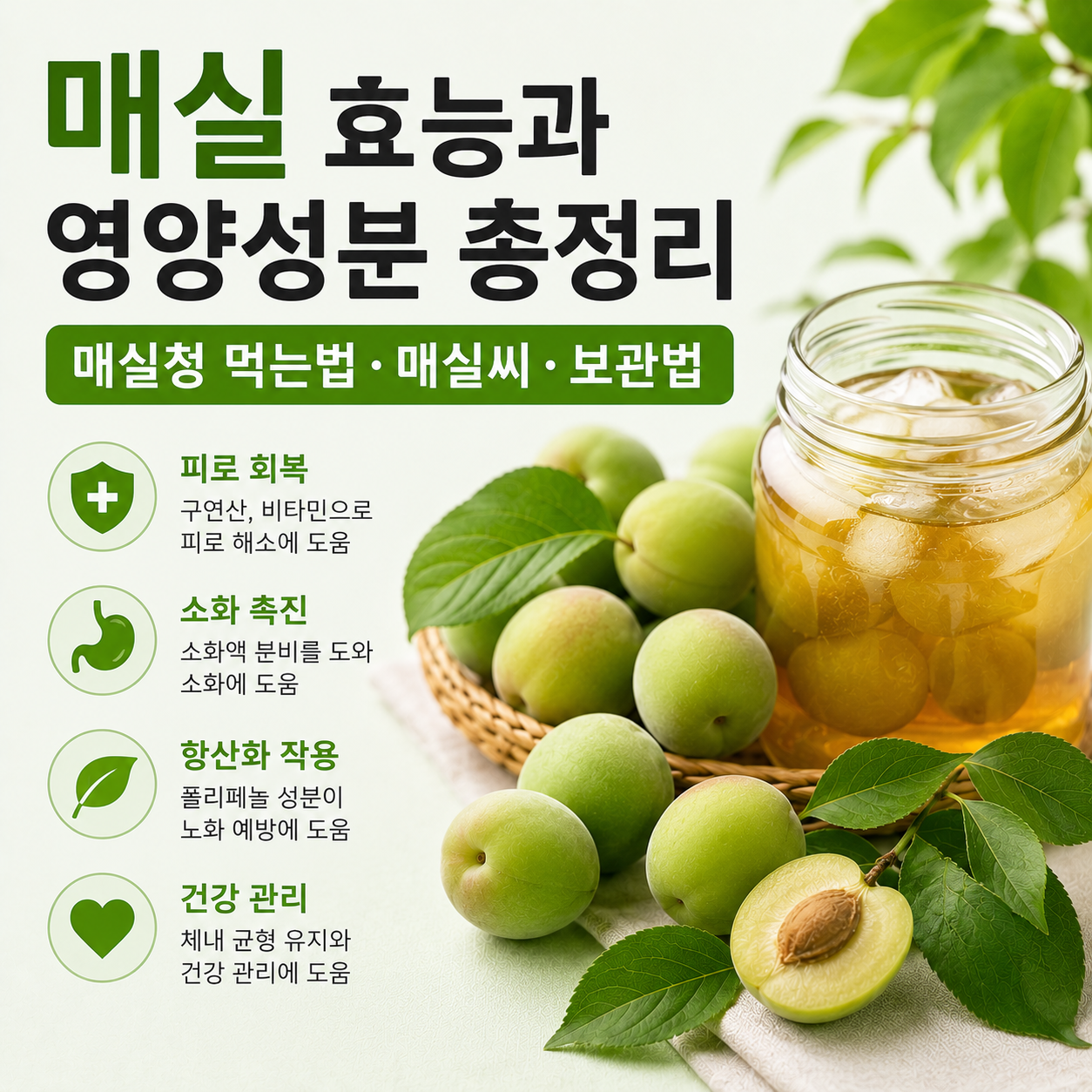 매실 효능