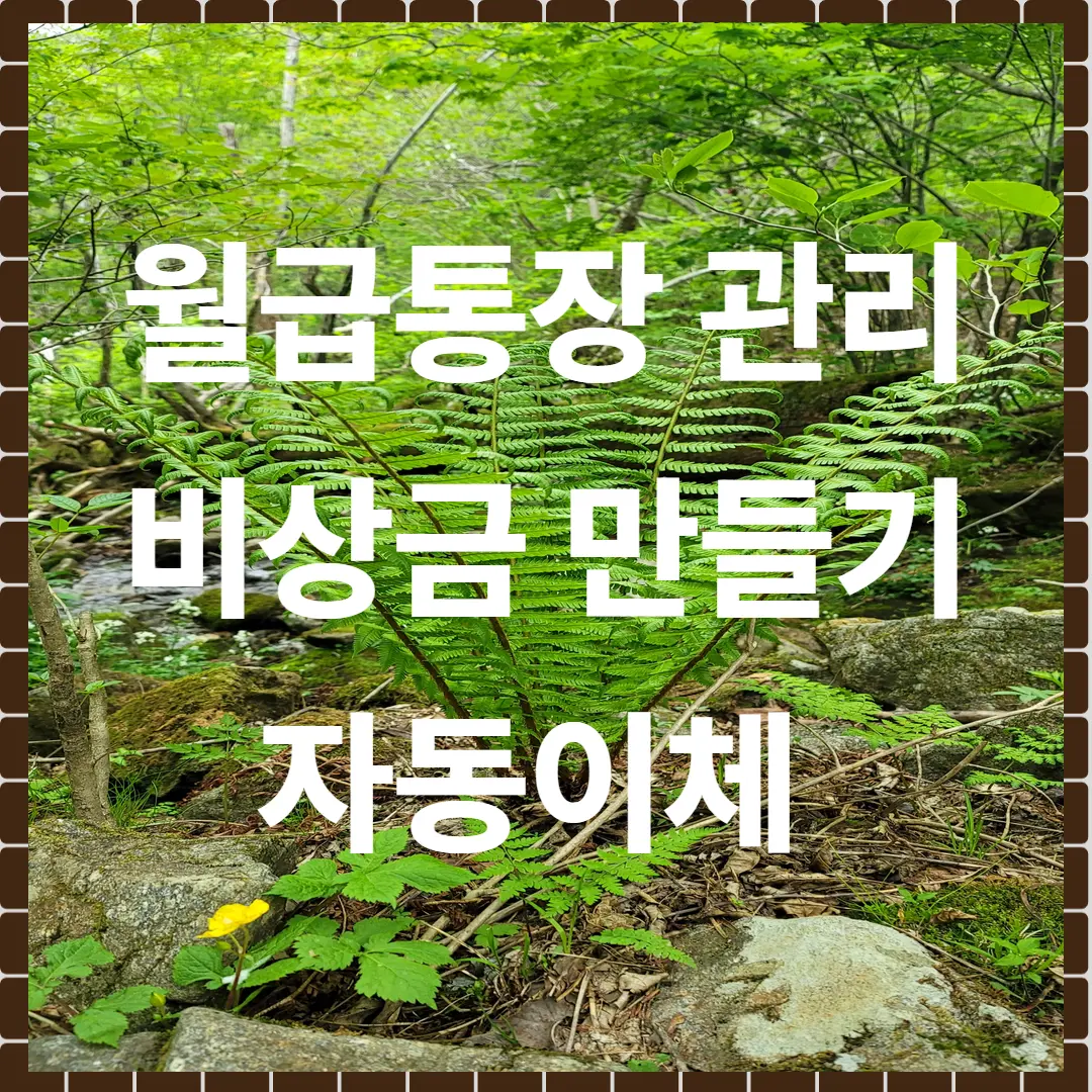 월금 통장 관리 요령: 비상금 만들기와 자동이체 시스템