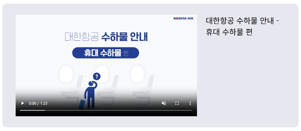 대한항공 기내 수하물 규정 허용 기준