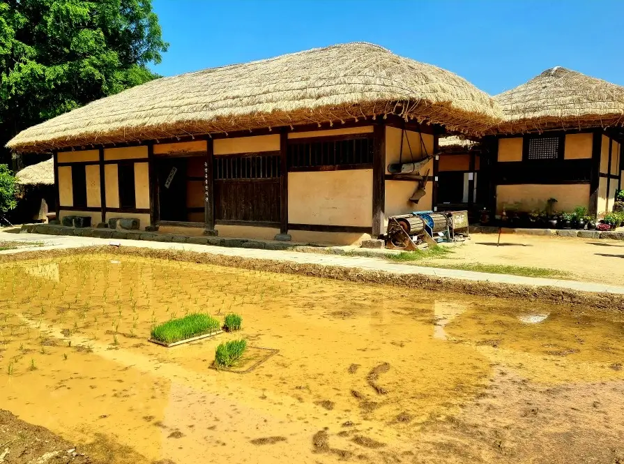 부천자연생태공원 2. 무릉도원 수목원: 데이지는 아쉽지만 아이들과 꼭 가봐야할 곳