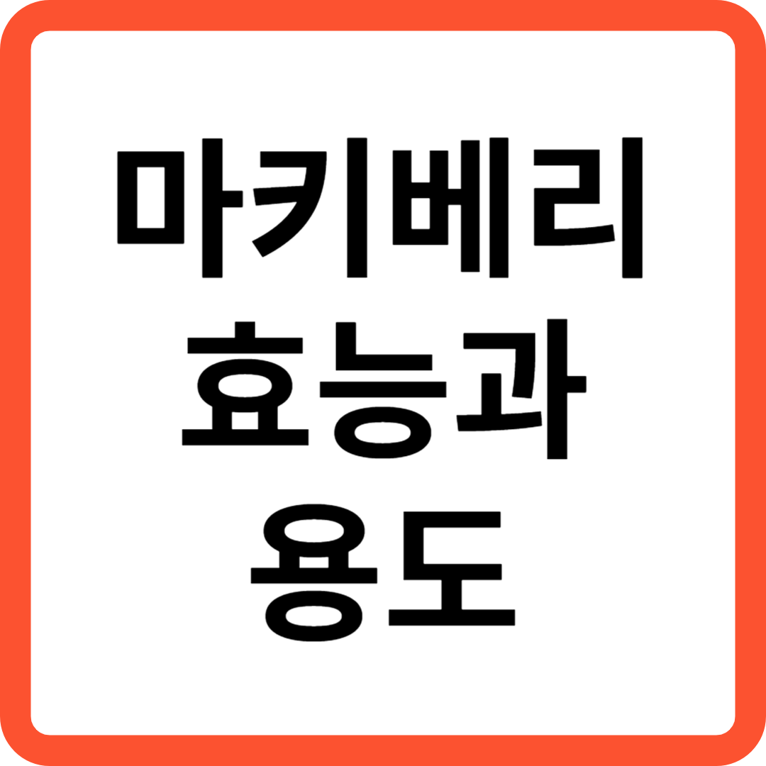마키베리 효능과 용도