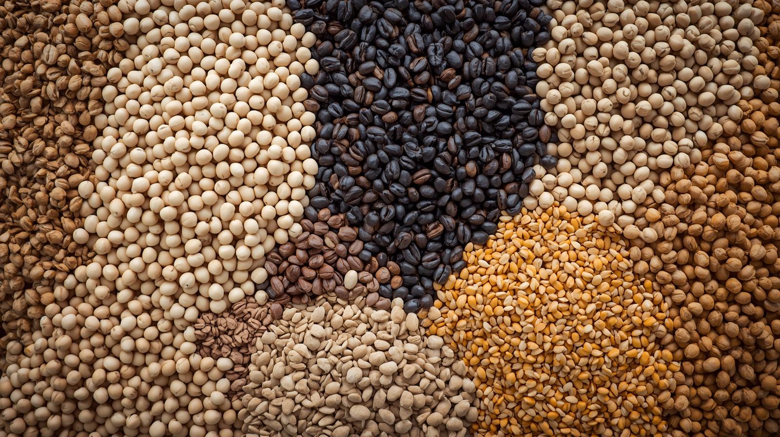 단백질많은음식