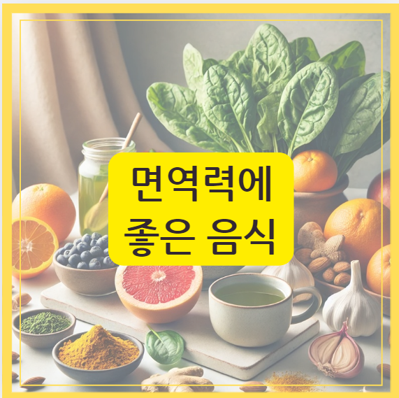 면역력에 좋은 음식을 강조한 이미지. '면역력에 좋은 음식'이라는 텍스트가 포함된 대표 이미지로, 감귤류 과일, 시금치, 마늘, 생강, 블루베리, 녹차 등 면역력 강화 식재료가 포함됨