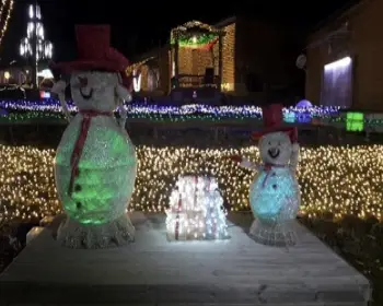 고니골 빛축제_21